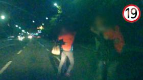 야간 도로, 불청객들의 19금 위험 행동