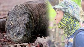 [선공개] 음산하고 을씨년스러운 코모도 아일랜드 입도한 병만족!