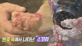 부드러운 소꼬리 고기의 비법 ‘수제 포도주 반죽’