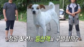 ‘등산 안내犬’ 보리는 등산객을 구별할까?