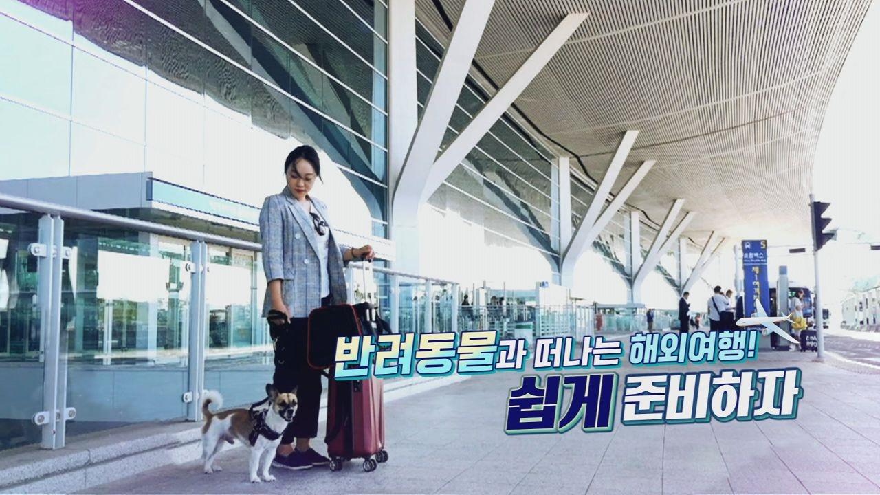 반려동물 해외여행 준비