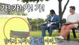[웃음 지뢰] 김보성, 창작 활동 중 갑작스러운 ‘벌 등장’에 빨간불!