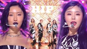 머리 어깨 무릎, 모두 핫이슈 메이커! ‘마마무’의 ‘HIP’