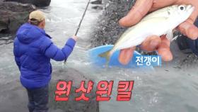 제주도 부시리 낚시 달인, 대나무 훌치기 위력은?