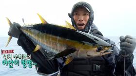 ‘선무당이 사람 잡는다?’ 유오성, 80cm 황다랑어 획득!