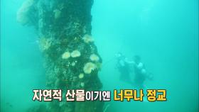 김병만×노우진, 1500년 전 만든 수중 구조물에 ‘놀람’
