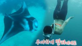 조현, 만타가오리와 신비로운 수영 타임!