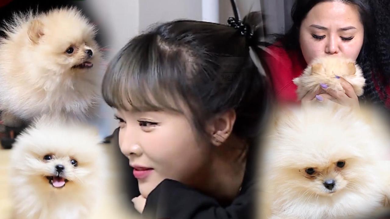[스페셜] 홍자매의 새 식구 먼지 귀여움 大 방출! | ZUM TV