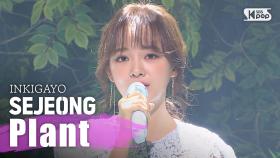 SEJEONG(세정) - Plant @인기가요 inkigayo 20200322