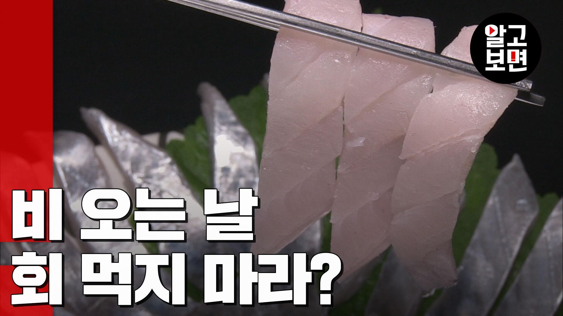 식중독? 패혈증? 비 오는 날 회 먹으면 정말 안될까? | ZUM TV