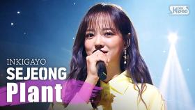 SEJEONG(세정) - 화분(Plant) @인기가요 inkigayo 20200329