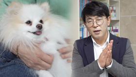 드라이어 홀릭 犬 밀크! 무엇에 홀렸나?