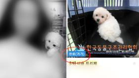 수유동 ‘강아지 연쇄 유기 사건’ 범인의 단서!