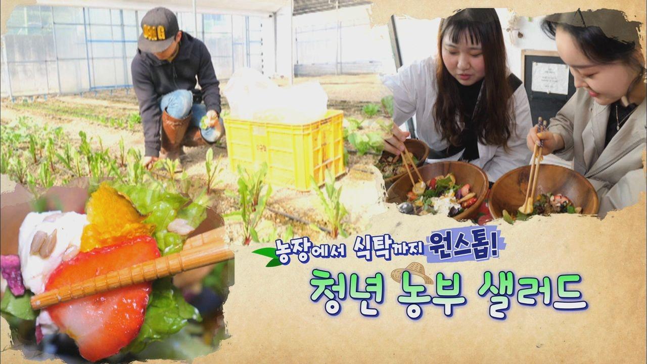 농장에서 식탁까지 원스톱! 청년 농부 샐러드 | ZUM TV