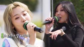 볼빨간사춘기×제시, 같은 노래 다른 느낌 (ft. 뿌연 연기)