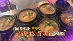 더위 물리치는 보양식! 상황버섯 삼계탕 납시오~!