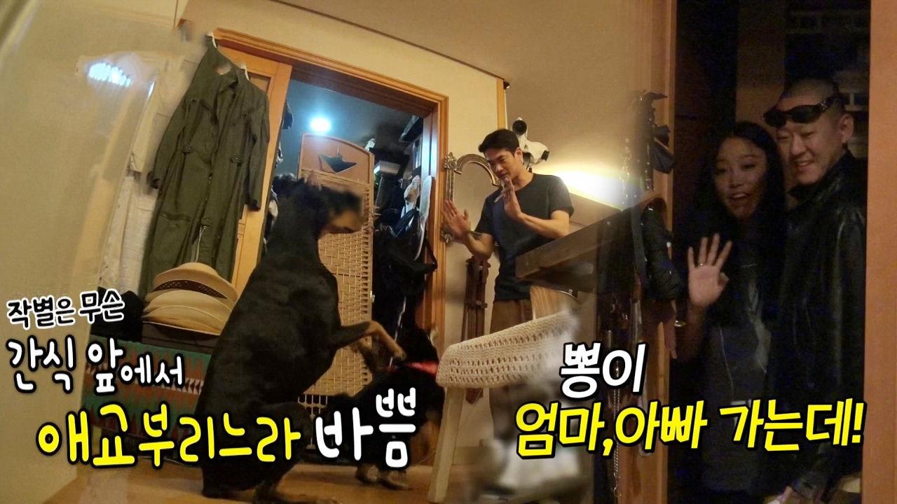 ‘간식 홀릭’ 벨X춘뽕, 떠나는 부모도 모르쇠! | ZUM TV