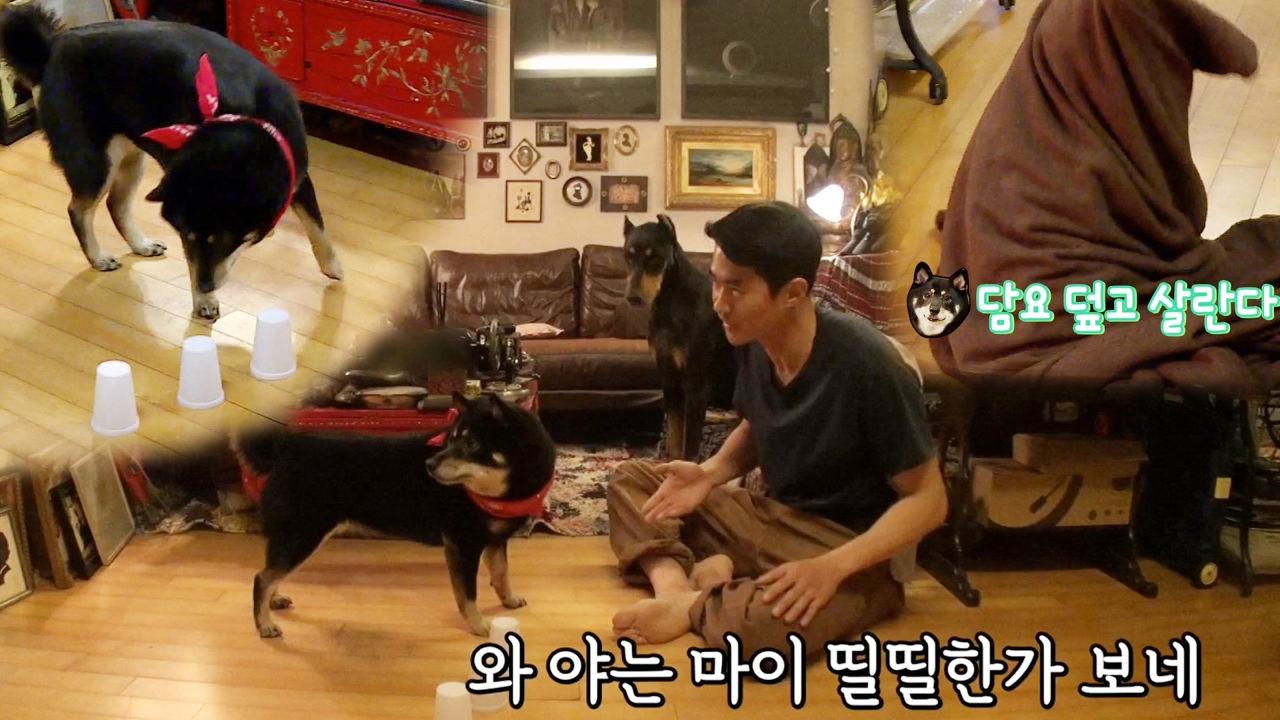 “띨띨하네” 배정남, 춘뽕 천재견 테스트 실패! | ZUM TV