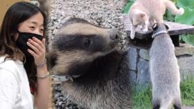 ‘야생 습성’ 보이는 연밤이, 결국 지연 씨와의 눈물의 이별