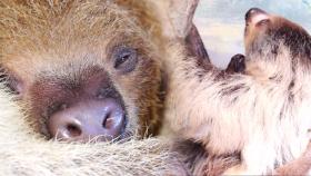 ‘마마보이’ 늘둥이 때문에 고생하는 엄마 땡이의 육아 ㅠㅠ