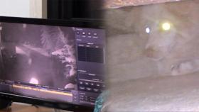 CCTV에서만 보이는 ‘공장 유령견’ 해피!