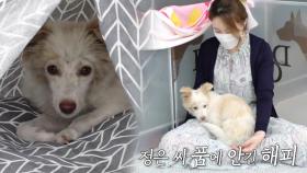 컨테이너에서 지내던 해피, 구조 후 정은 씨에게 마음 열기!