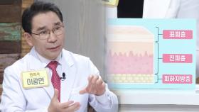 피부 면역력을 지켜라! (황금 장바구니)