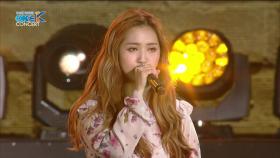 가을로 가는 기차 