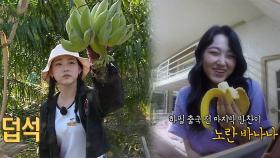 구구단 미나, 노오란 바나나 향한 집념 활활!