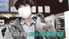 말도 안 되는 확률로 함께 살아가는 ‘참매’ 바람이와 안완균 씨