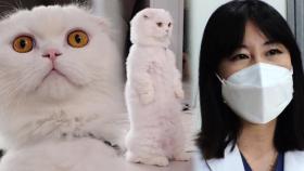 두부가 오랜 시간 ‘직립 자세’를 하는 이유! (ft. 관종 두부)