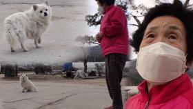 ‘생명의 은인’ 할머니에게 마음을 열지 못하는 아롱이!