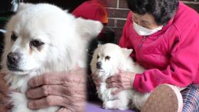 마음 닫았던 아롱이, 드디어 할머니와 거리 좁히기♡