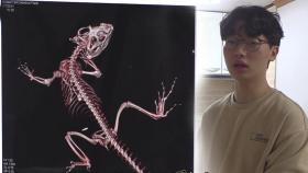 ‘평균 3개월!’ 동물 골격 표본 만드는 과정★