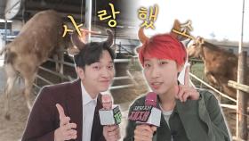 재재×유재필, 순간 포착 23년 역사 속 특별했던 ‘소’ BEST 5 소개!