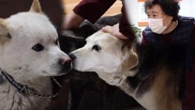 ‘순둥이’ 저수지 백구, 복구에게 생긴 새로운 가족들!