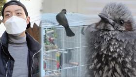 [따뜻] 날지 못하던 구리, 드디어 찾은 짝꿍♥