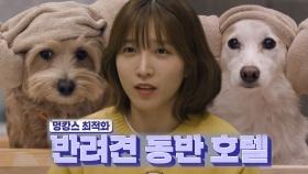 ‘바쁘다 바빠’ 이초희, 모지×요거 함께 초호화 멍카스☆| SBS 210321 방송