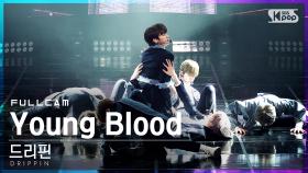 [안방1열 직캠4K] 드리핀 'Young Blood' 풀캠 (DRIPPIN Full Cam)│@SBS Inkigayo_2021.03.28.