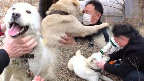 한 달 만에 찾은 예쁜이의 진짜 가족과 이름!