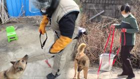 3년째 목줄만 보면 무섭게 거부하는 ‘산들이’