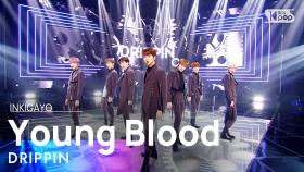 DRIPPIN(드리핀) - Young Blood @인기가요 inkigayo 20210418