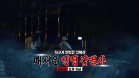 [8월 29일 예고] 최고가 인형을 찾아라! 매서운 인형 감별사♨