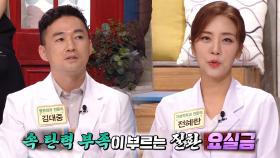 중년 건강 지키려면 ‘속 탄력’ 사수가 중요! (황금 장바구니)