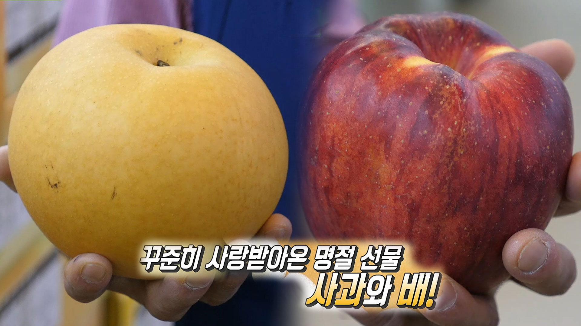 사과×배, 추석에 믿고 먹을 수 있는 우리 과일! | ZUM TV