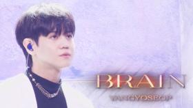 ‘양요섭’이 전하는 애절한 사랑고백! ‘BRAIN’