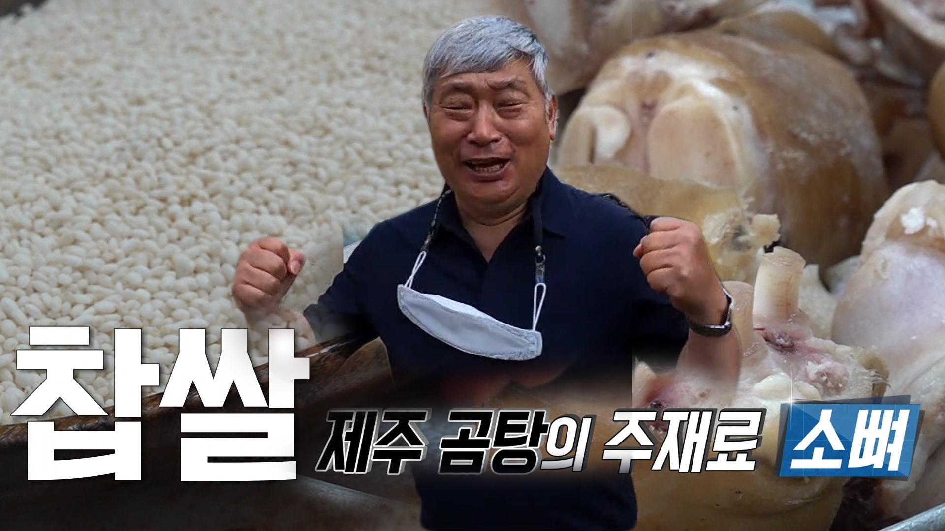 제주 곰탕의 주재료 찹쌀과 소뼈! | ZUM TV
