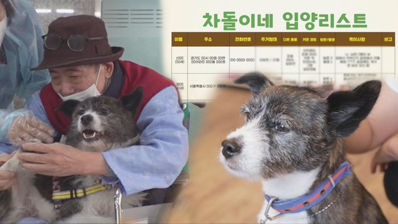 지난 8월 모두를 울린 차돌이, 기쁜 입양 소식! | ZUM TV