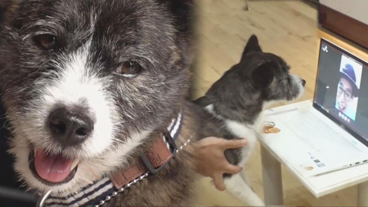 육아 분담을 통해 풀어가는 ‘황혼육아 문제’