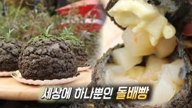 전국에 하나뿐인 가을의 맛! 돌배빵